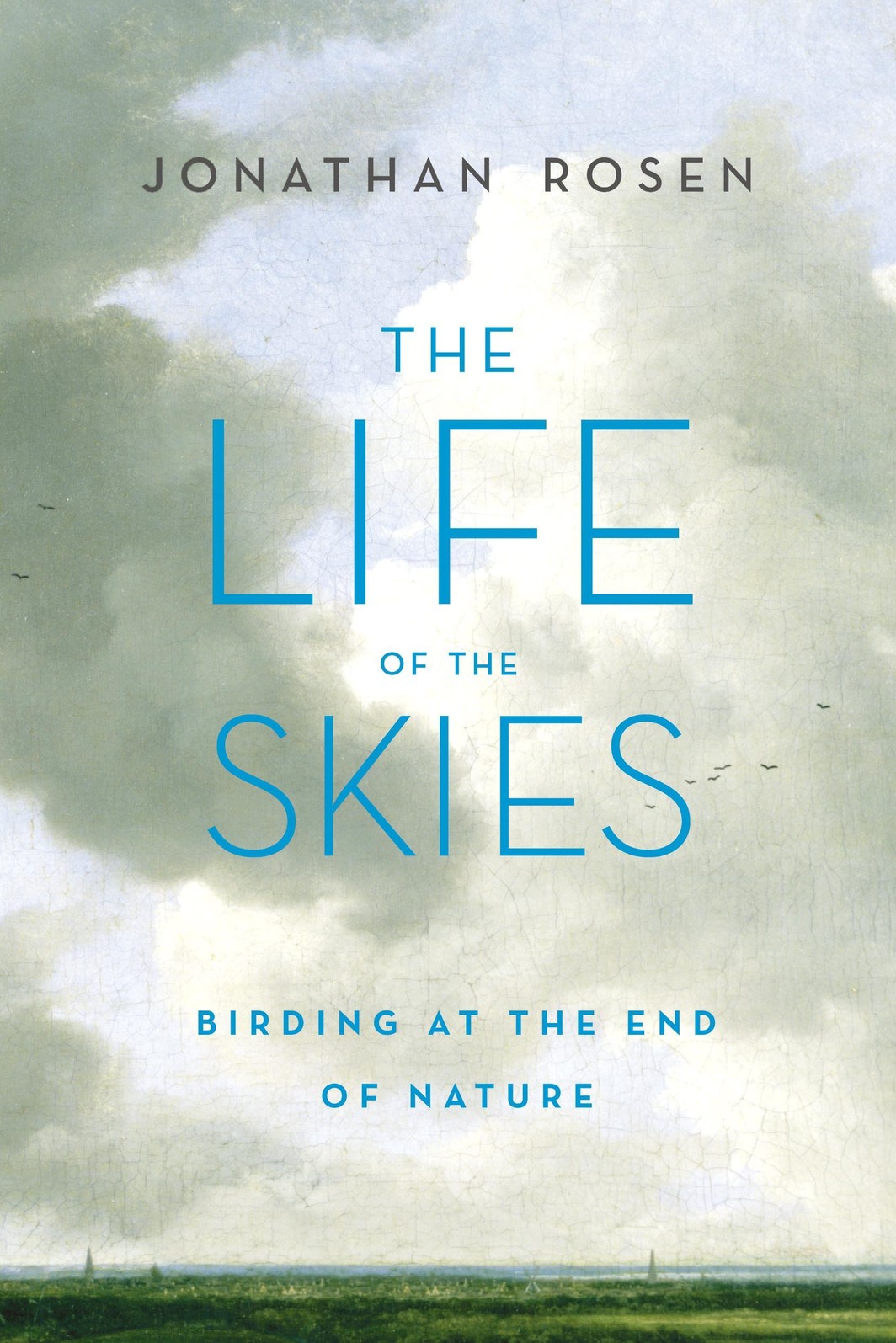 The cover of The Life of the Skies