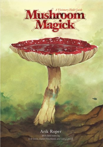 The cover of Mushroom Magick: A Visionary Field Guide