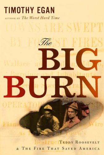 The cover of The Big Burn: Teddy Roosevelt and the Fire that Saved America