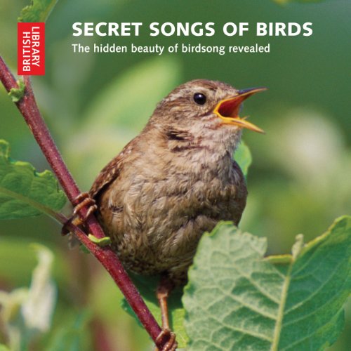 The cover of Secret Songs of Birds: The Hidden Beauty of Birdsong Revealed (British Library)