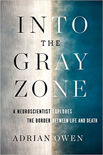 The cover of Into the Gray Zone: A Neuroscientist Explores the Border Between Life and Death