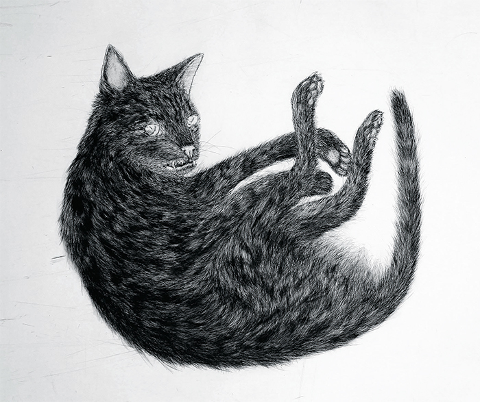 Kiki Smith, Ginzer, 2000, aquatint and etching on paper, 22 1/2 × 31". © Kiki Smith, courtesy Harlan & Weaver, Inc, New York and Pace Gallery, New York.