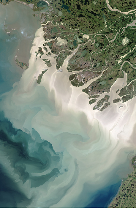 Satellite image of the Mackenzie River and the Atlantic Ocean, Northwest Territories, Canada, 2017.