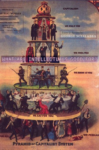 The cover of What Are Intellectuals Good For?