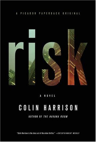 The cover of Risk: A Novel