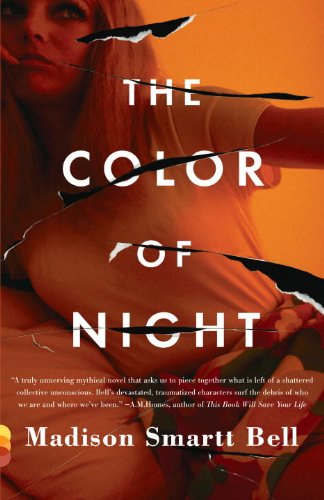 The cover of The Color of Night (Vintage Contemporaries)
