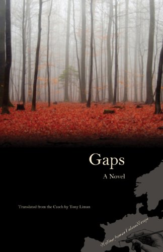 The cover of Gaps: A Novel (Writings from an Unbound Europe)