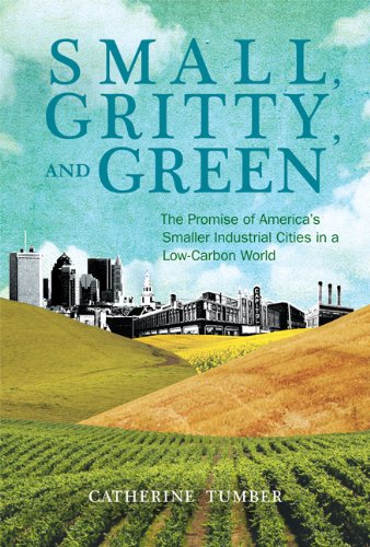 The cover of Small, Gritty, and Green: The Promise of America's Smaller Industrial Cities in a Low-Carbon World (Urban and Industrial Environments)