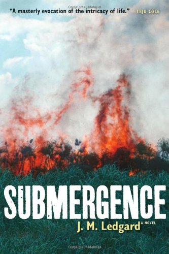 The cover of Submergence