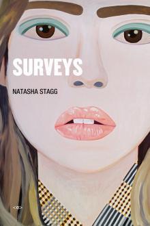 The cover of Surveys: A Novel (Semiotext(e) / Native Agents)