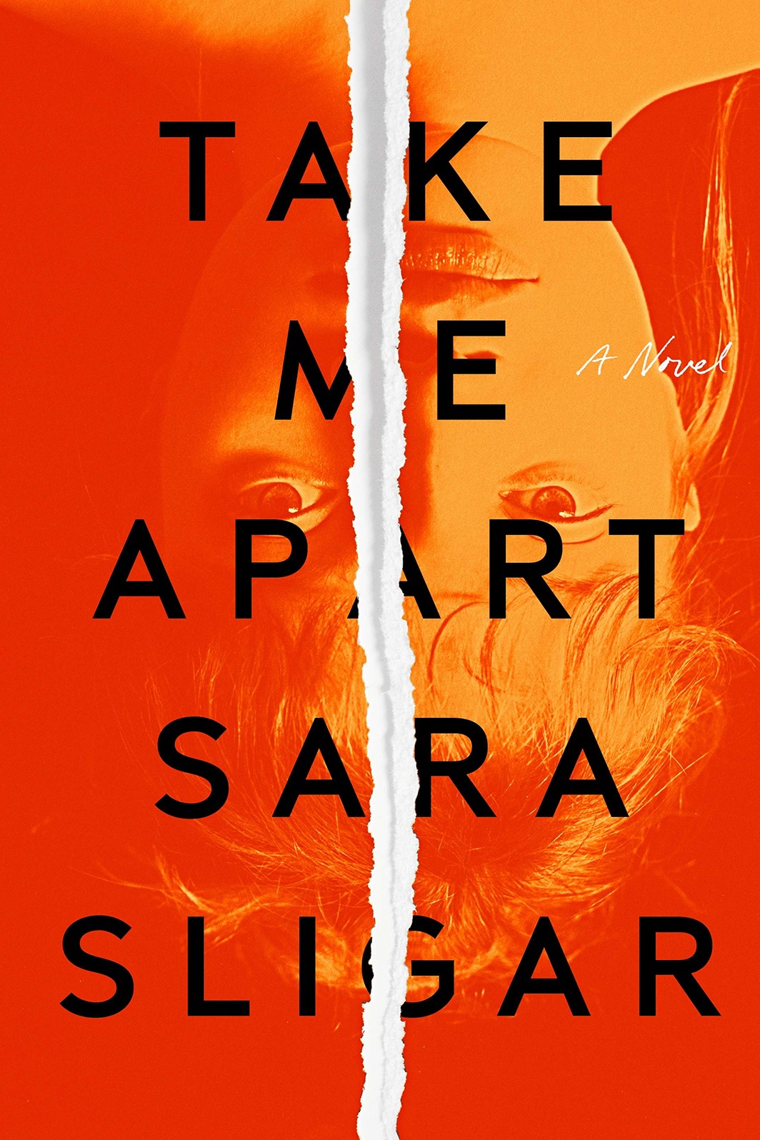 The cover of Take Me Apart