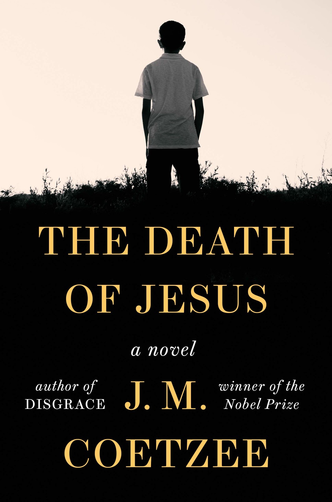 The cover of THE DEATH OF JESUS