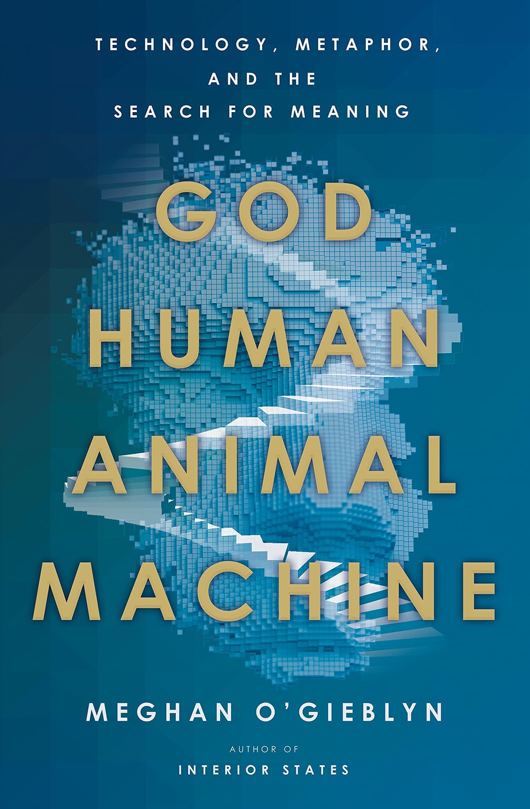 The cover of God, Human, Animal, Machine: Technology, Metaphor, and the Search for Meaning