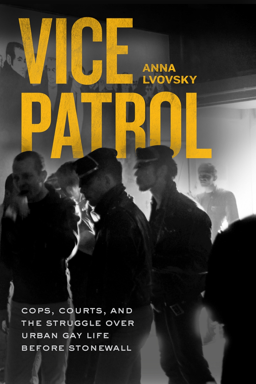 The cover of Vice Patrol: Cops, Courts, and the Struggle over Urban Gay Life before Stonewall