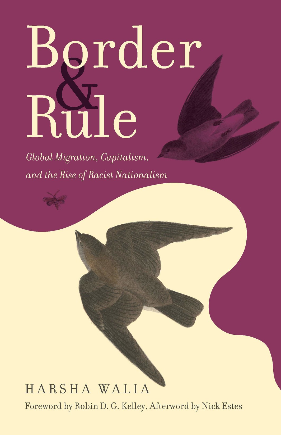 The cover of Border and Rule: Global Migration, Capitalism, and the Rise of Racist Nationalism