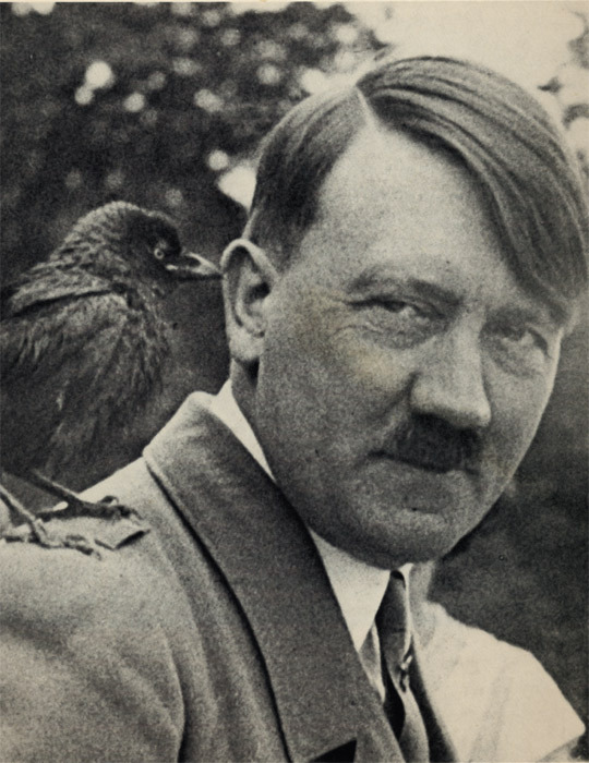Adolf Hitler with jackdaw, Obersalzberg, Germany, n.d.
