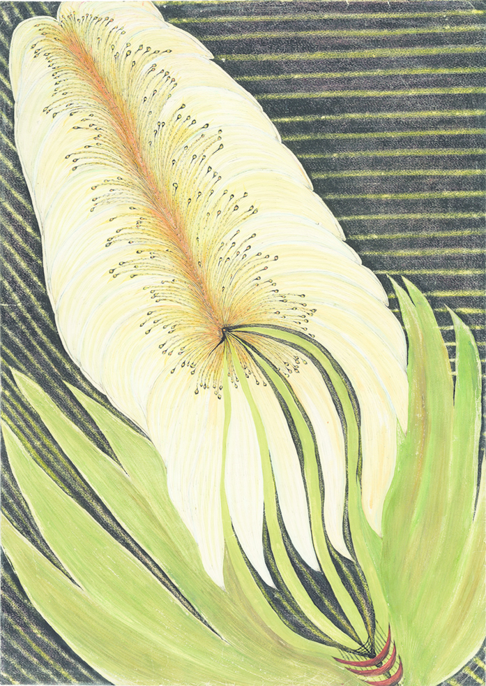 Anna Zemánková, Infinite Flower, ca. 1960, pastel, tempera, and India ink on paper, 335⁄8 × 213⁄8".