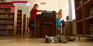Russia's cat librarian