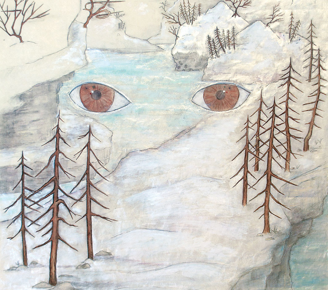 Mindy Rose Schwartz, Landscape Stares Back (detail), 2005, pencil and ink on paper, 27 × 22".