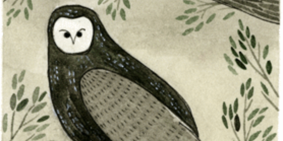 Owl logo of Dorothy, a publishing project by Yelena Bryksenkova