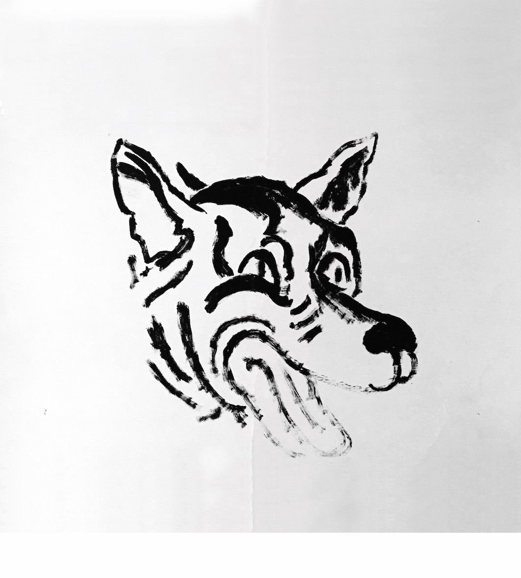 David Wojnarowicz, Untitled (Wolf), 1983, ink on paper, sheet size 22 x 28". Courtesy Hal Bromm Gallery