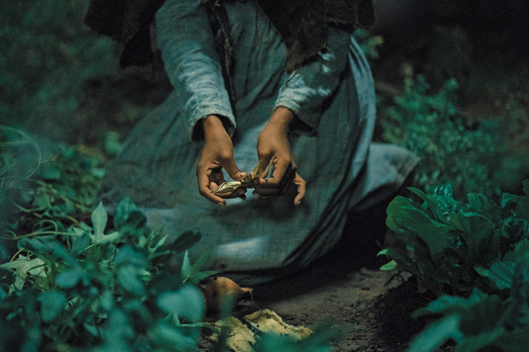 Barry Jenkins's The Underground Railroad, season 1, 2021. Atsushi Nishijima; © Amazon Studios