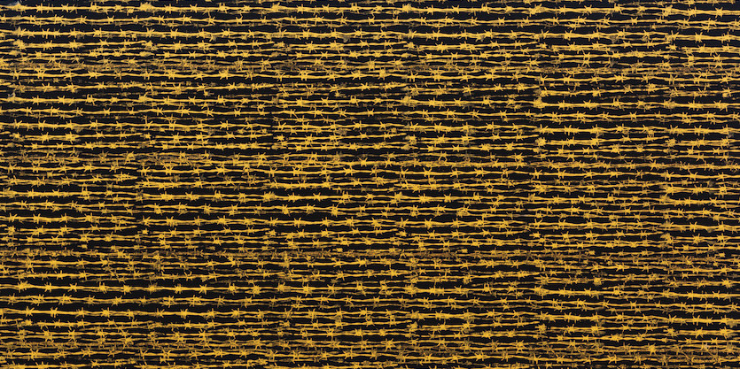 Koralegedara Pushpa Kumara, Barbed Wire (IV) (detail), 2012, silk screen on canvas, 48 x 66". Courtesy the artist and Exhibit320