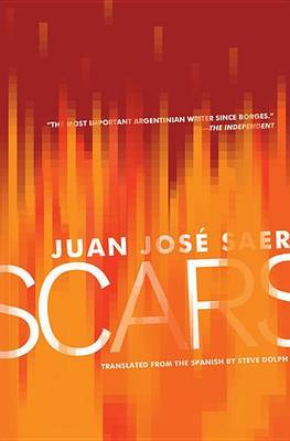 The cover of Scars