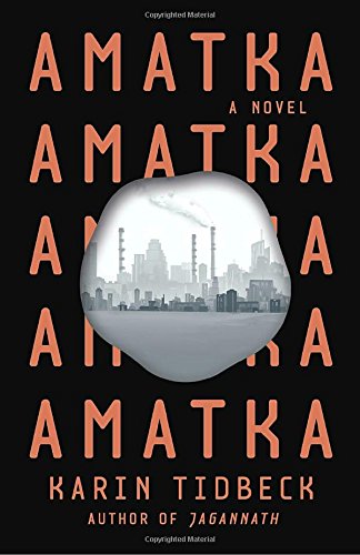 The cover of Amatka